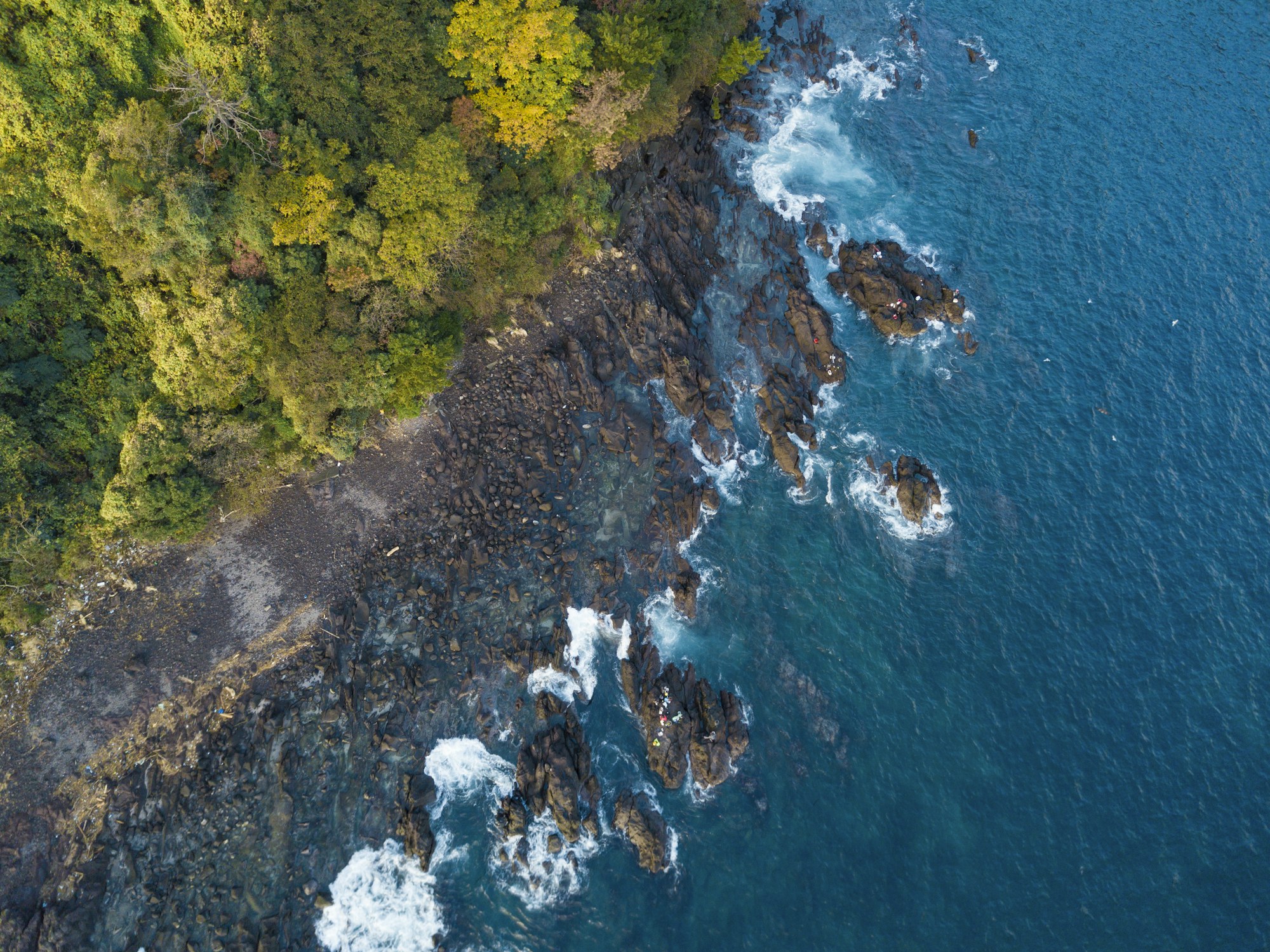 森と玄界灘を想起させる海岸線